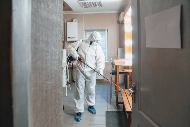 Best Crawl Space Mold Remediation  in St Michael, MN