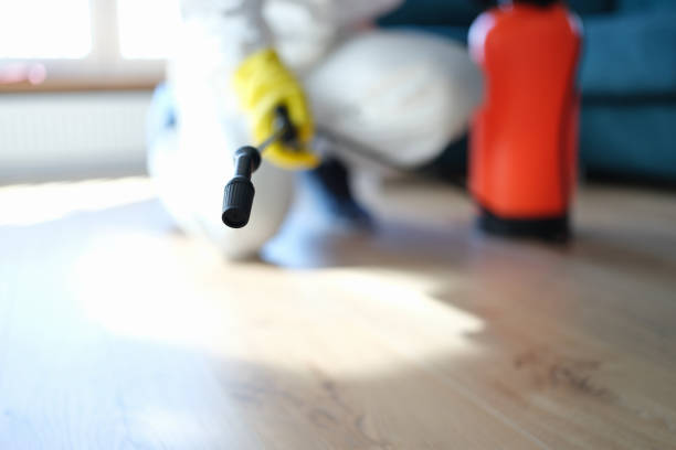 Best Comprehensive Air Testing for Mold Contaminants  in St Michael, MN