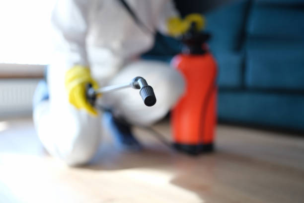 Mold Remediation for Vacation Homes in St Michael, MN
