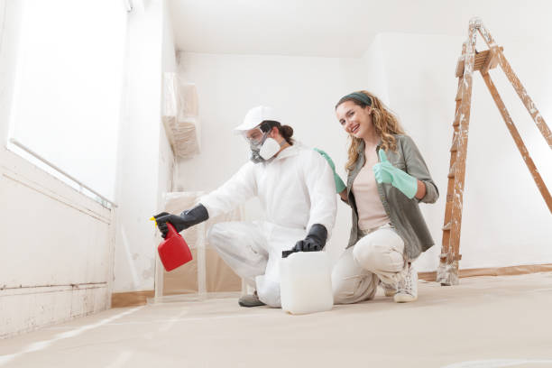Best Post-Remediation Verification Testing  in St Michael, MN