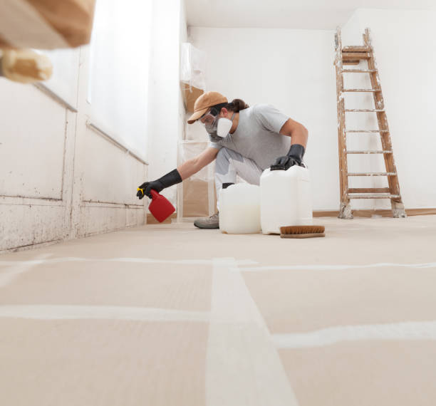 Best Mold Remediation for Vacation Homes  in St Michael, MN