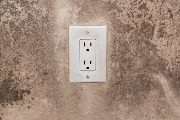 Best Real Estate Mold Inspection  in St Michael, MN